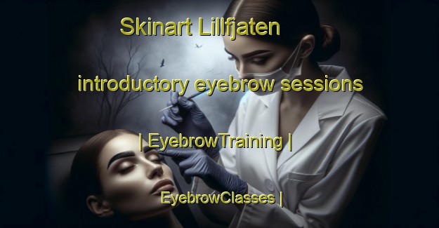 Skinart Lillfjaten introductory eyebrow sessions | EyebrowTraining | EyebrowClasses | SkinartTraining-Sweden